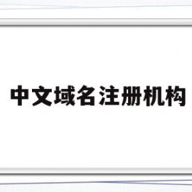 中文域名注册机构(中文域名注册服务商)