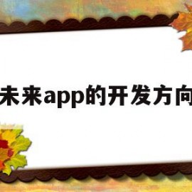 关于未来app的开发方向的信息