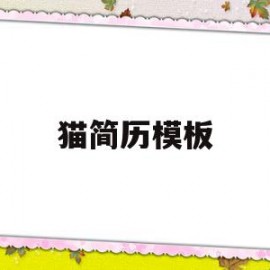 猫简历模板(omg简历模板)