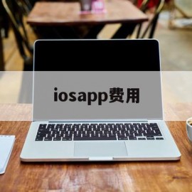 iosapp费用(苹果手机在app里面收费是收取什么费用)