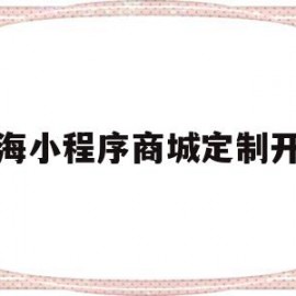 上海小程序商城定制开发(上海制作小程序app公司)