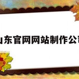 山东官网网站制作公司(山东制作网站方案)