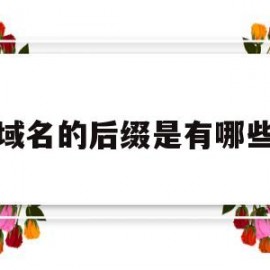 域名的后缀是有哪些(域名后缀的含义)
