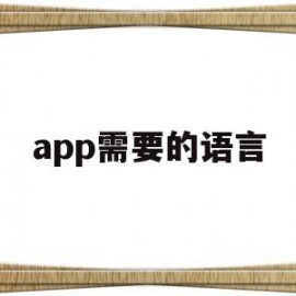 app需要的语言(app程序语言)