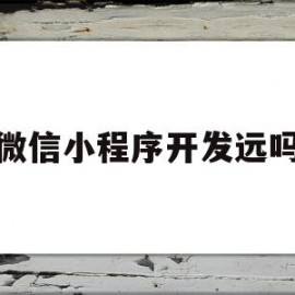 微信小程序开发远吗(微信小程序开发怎么样)