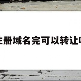 注册域名完可以转让吗(注册域名完可以转让吗安全吗)