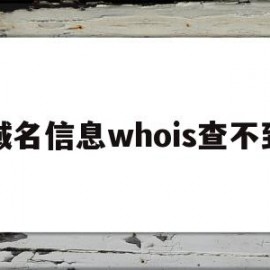 包含域名信息whois查不到的词条