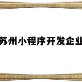 苏州小程序开发企业(苏州小程序开发企业排名)