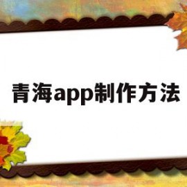 青海app制作方法(青海大月饼的制作方法)