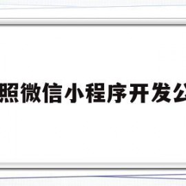 日照微信小程序开发公司(开发微信小程序需要哪些技术)