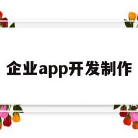 企业app开发制作(企业app制作多少钱)