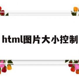 html图片大小控制(html图片太大怎么缩小)