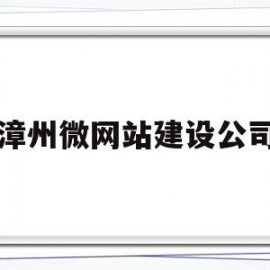 漳州微网站建设公司(漳州有哪些互联网公司)