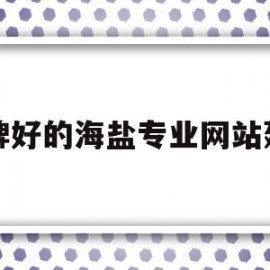 口碑好的海盐专业网站建设(海盐网下载)