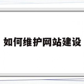 包含如何维护网站建设的词条
