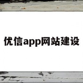 优信app网站建设(优信app网站建设方案)