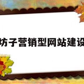 坊子营销型网站建设(营销型门户网站建设方案)