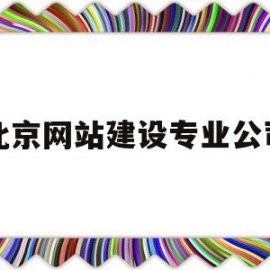 北京网站建设专业公司(北京网站制建设公司)
