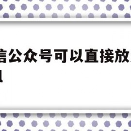 包含微信公众号可以直接放入html的词条