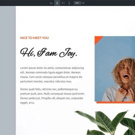 WordPress主题Bricks v1.9 破解版
