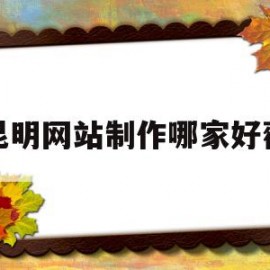 昆明网站制作哪家好薇(昆明做网站找哪个公司好)