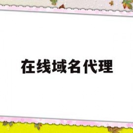 在线域名代理(域名代理是什么意思)