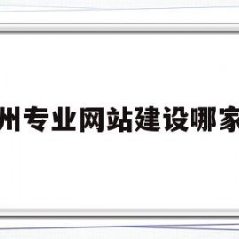广州专业网站建设哪家好(专业做网站较好的公司广州)