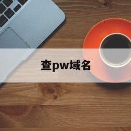 查pw域名(查域名的ip)