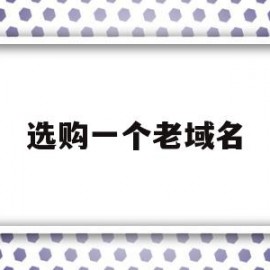 选购一个老域名(买老域名最看重的什么)