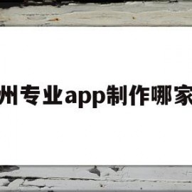 杭州专业app制作哪家好(杭州制作app平台)