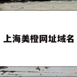 上海美橙网址域名(上海橙美文化传媒有限公司)