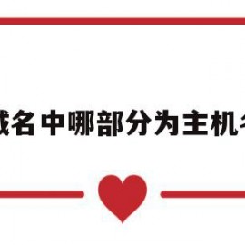 关于域名中哪部分为主机名的信息