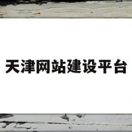 天津网站建设平台(天津网站建设系统)