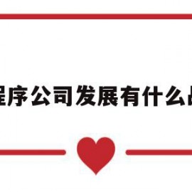 小程序公司发展有什么战略(小程序公司发展有什么战略目标)