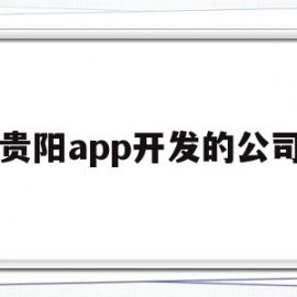 贵阳app开发的公司(贵阳市软件开发公司招工情况)