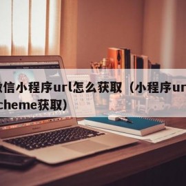 微信小程序url怎么获取（小程序url scheme获取）