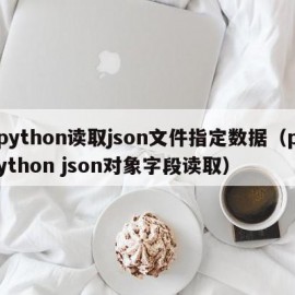 python读取json文件指定数据（python json对象字段读取）