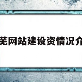关于莱芜网站建设资情况介绍的信息
