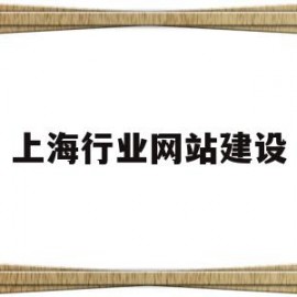 上海行业网站建设(上海网站建设技术支持)