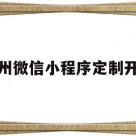 徐州微信小程序定制开发(徐州微信小程序定制开发怎么样)