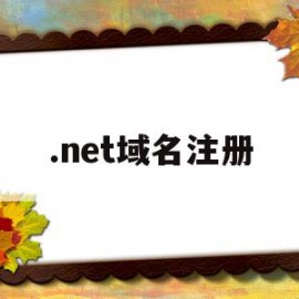.net域名注册(net域名注册查询)