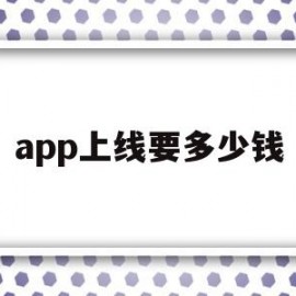 app上线要多少钱(app上线需要什么条件)