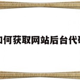 如何获取网站后台代码(如何查看网页的后端代码)