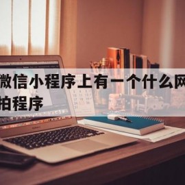 微信小程序上有一个什么网拍程序(微信小程序上有一个什么网拍程序的)