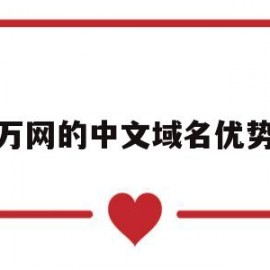 万网的中文域名优势(万网域名是什么意思)