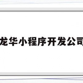 龙华小程序开发公司(深圳的小程序开发公司)