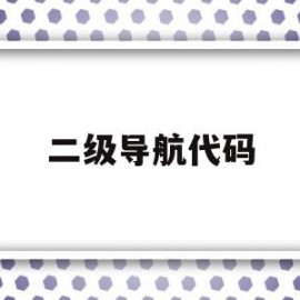 二级导航代码(二级导航代码是多少)