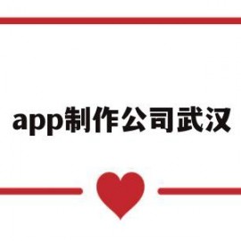 app制作公司武汉(app制作公司简介)
