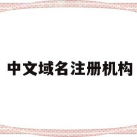 中文域名注册机构(中文域名注册局联系方式)