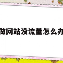 做网站没流量怎么办(网站有流量不知道盈利)